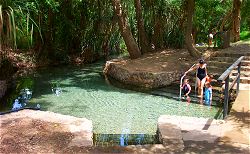 Katherine Hot Springs shallow pool near source of water & footbridge