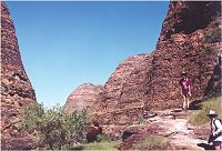 Bungles walking trail