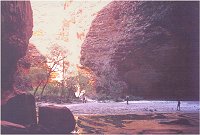 at the end of the cathederal walk is a great cavern with water and multitudes of frogs